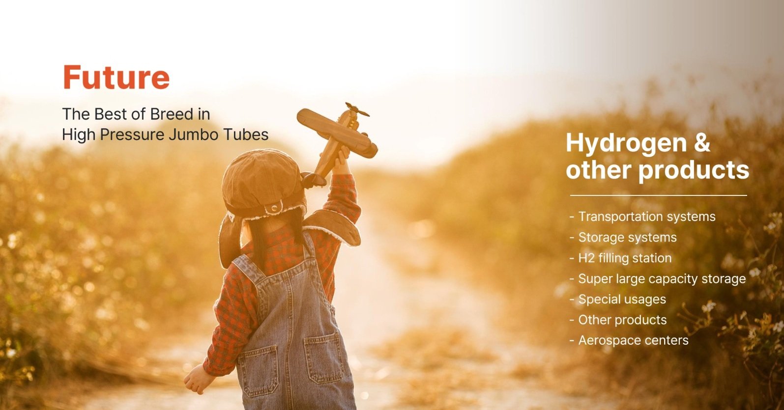 Energias Renováveis e Hidrogênio